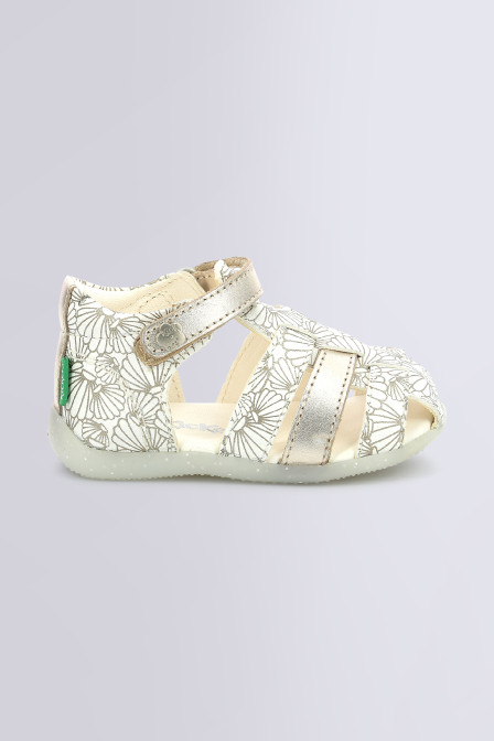 BIGFLO-2 WHITE SILVER SEASHELL