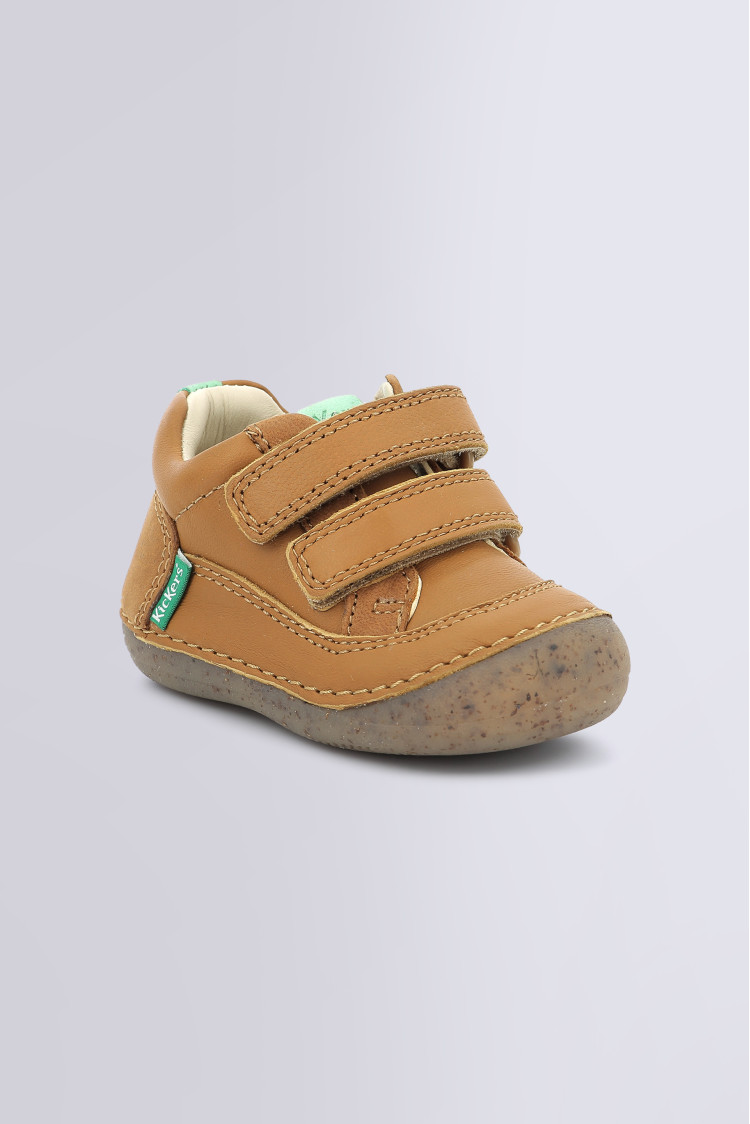 SOSTANKRO CAMEL SOSTANKRO CAMEL