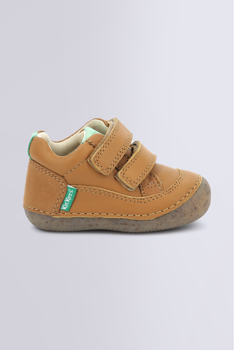 SOSTANKRO CAMEL SOSTANKRO CAMEL