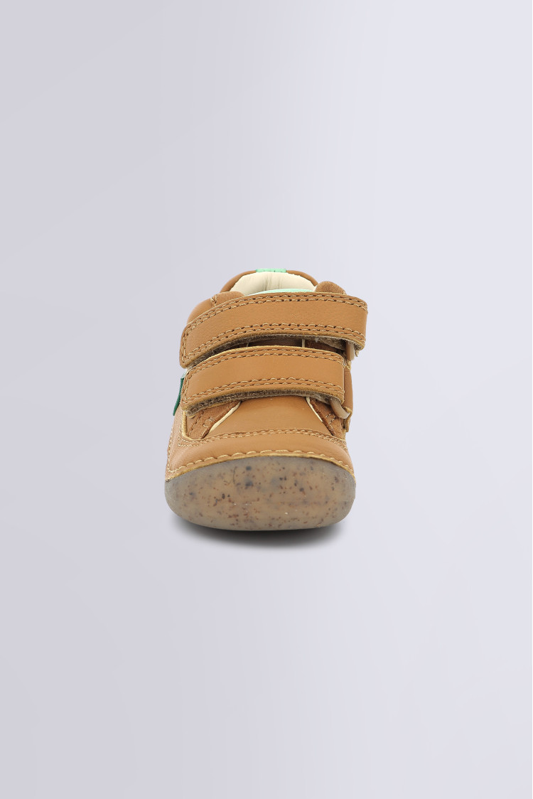SOSTANKRO CAMEL SOSTANKRO CAMEL