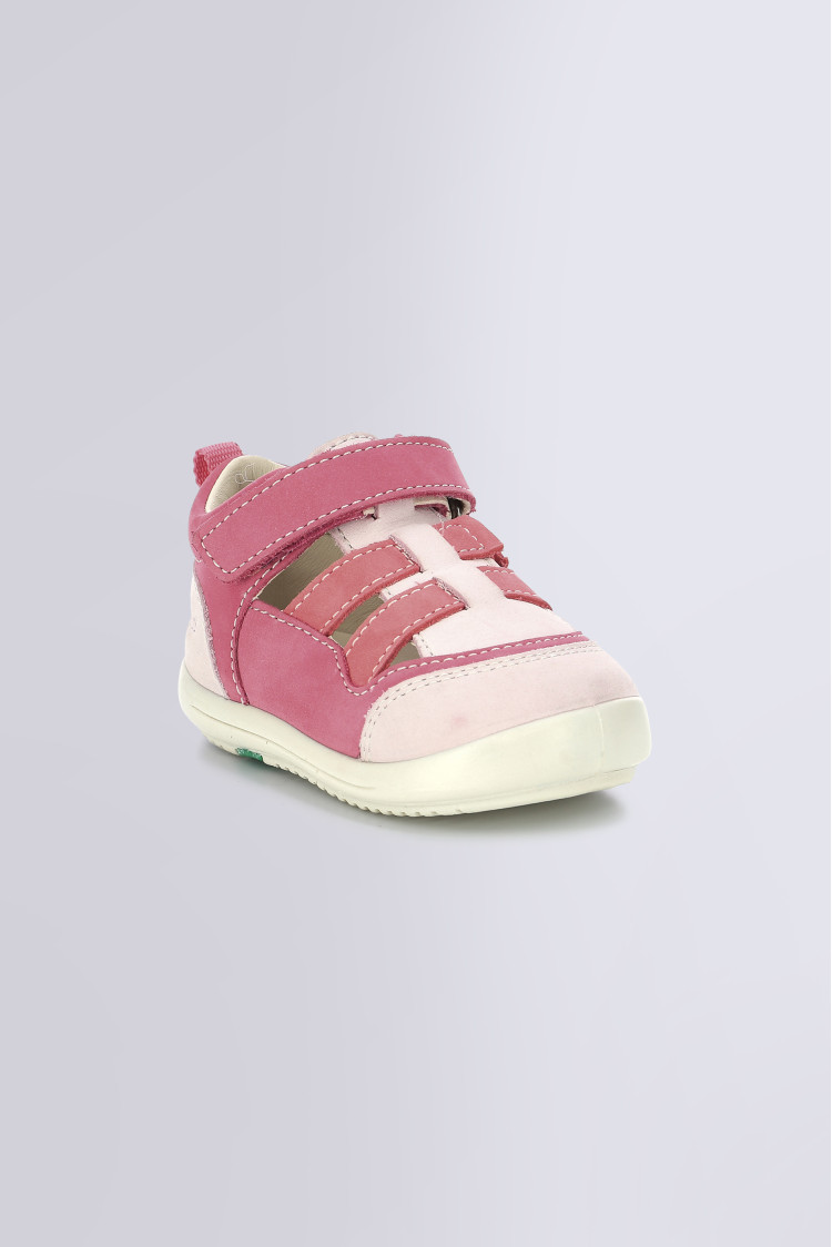 KLONY PINK TRICOLOR KLONY PINK TRICOLOR
