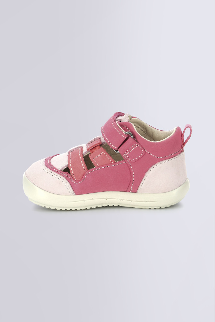 KLONY PINK TRICOLOR KLONY PINK TRICOLOR