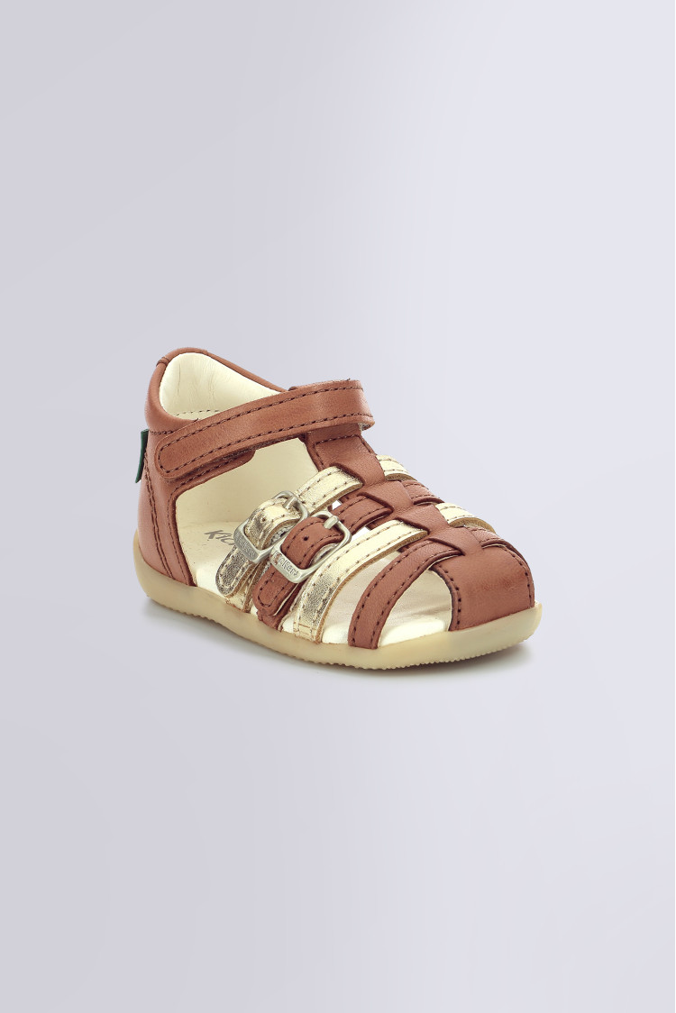 BIGKRO CAMEL OR BIGKRO CAMEL OR
