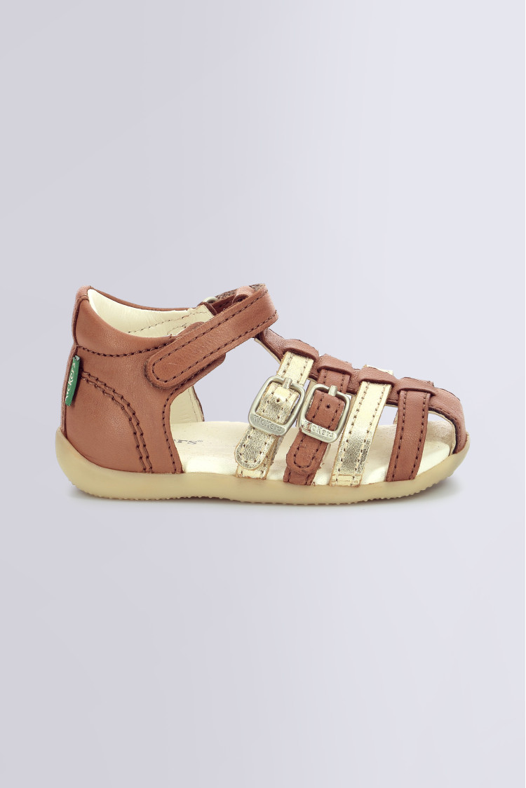 BIGKRO CAMEL OR BIGKRO CAMEL OR