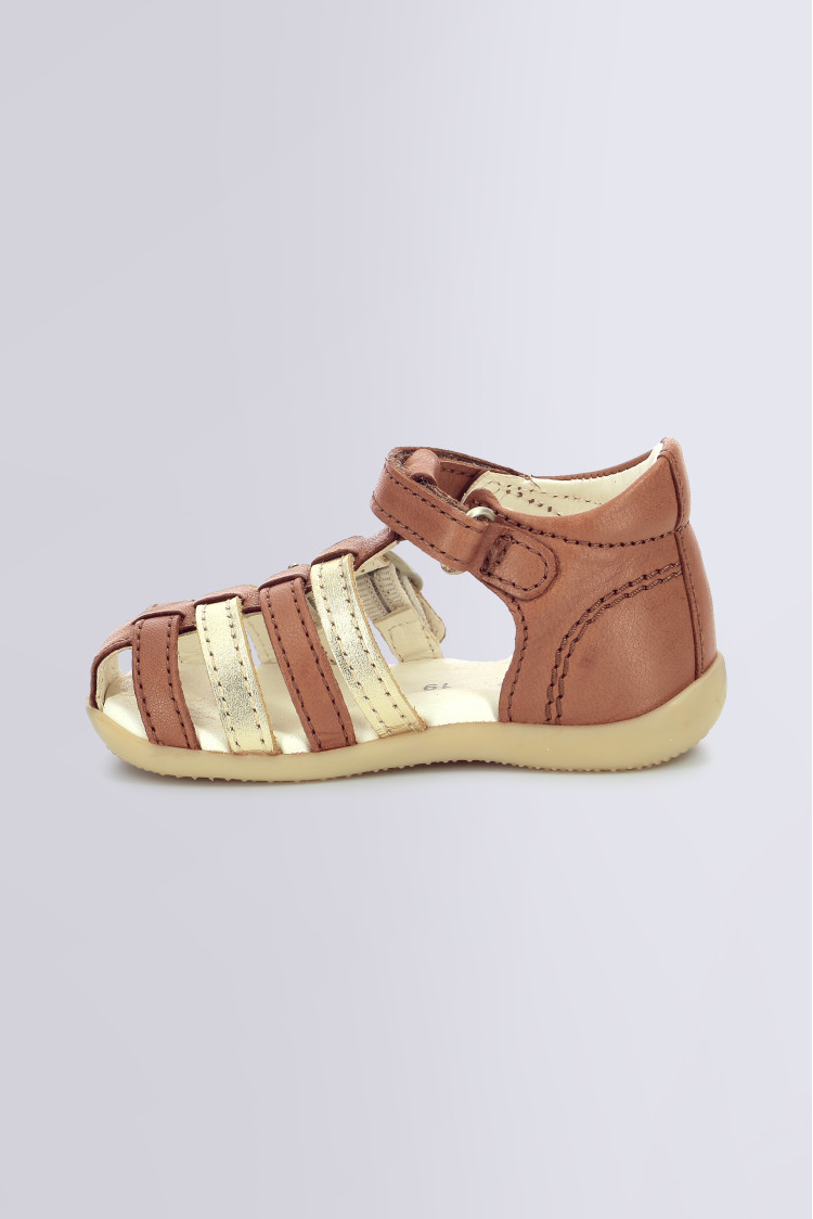 BIGKRO CAMEL OR BIGKRO CAMEL OR