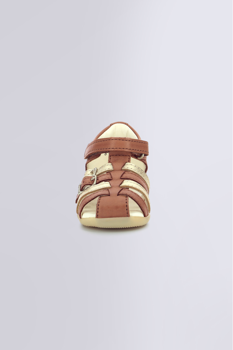 BIGKRO CAMEL OR BIGKRO CAMEL OR
