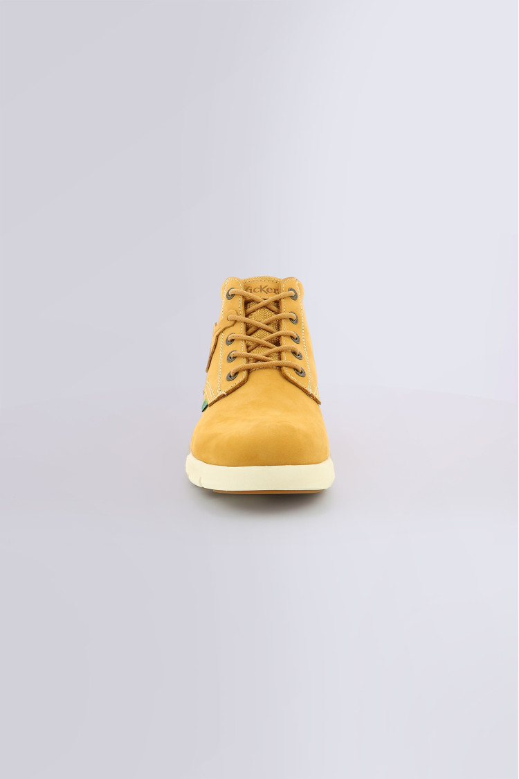 KICK HI CAMEL KICK HI CAMEL