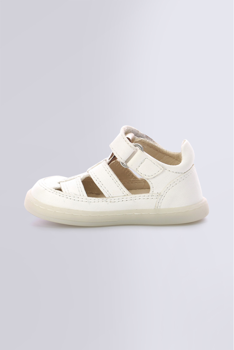 TRACTUS BLANC METALLISE TRACTUS BLANC METALLISE