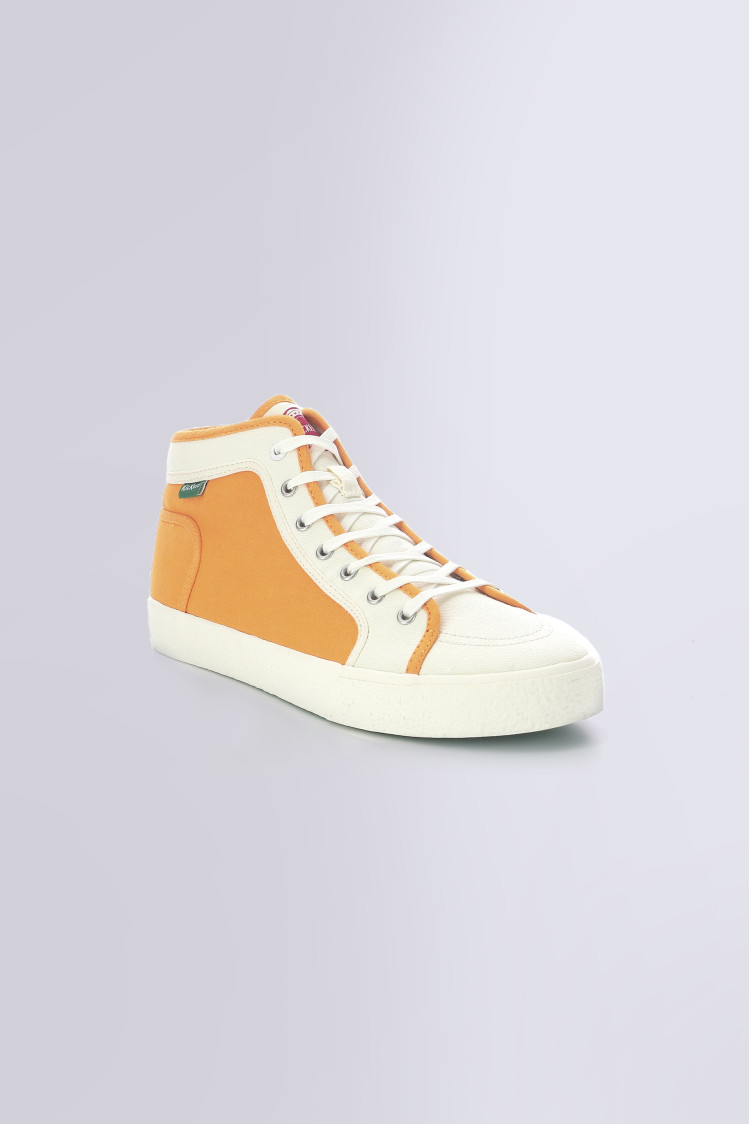 ARVEILER YELLOW WHITE ARVEILER YELLOW WHITE