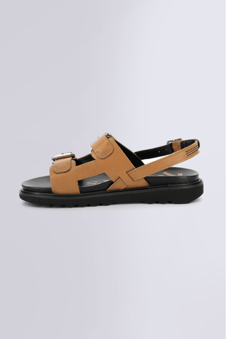 Neosummer Camel Neosummer Camel
