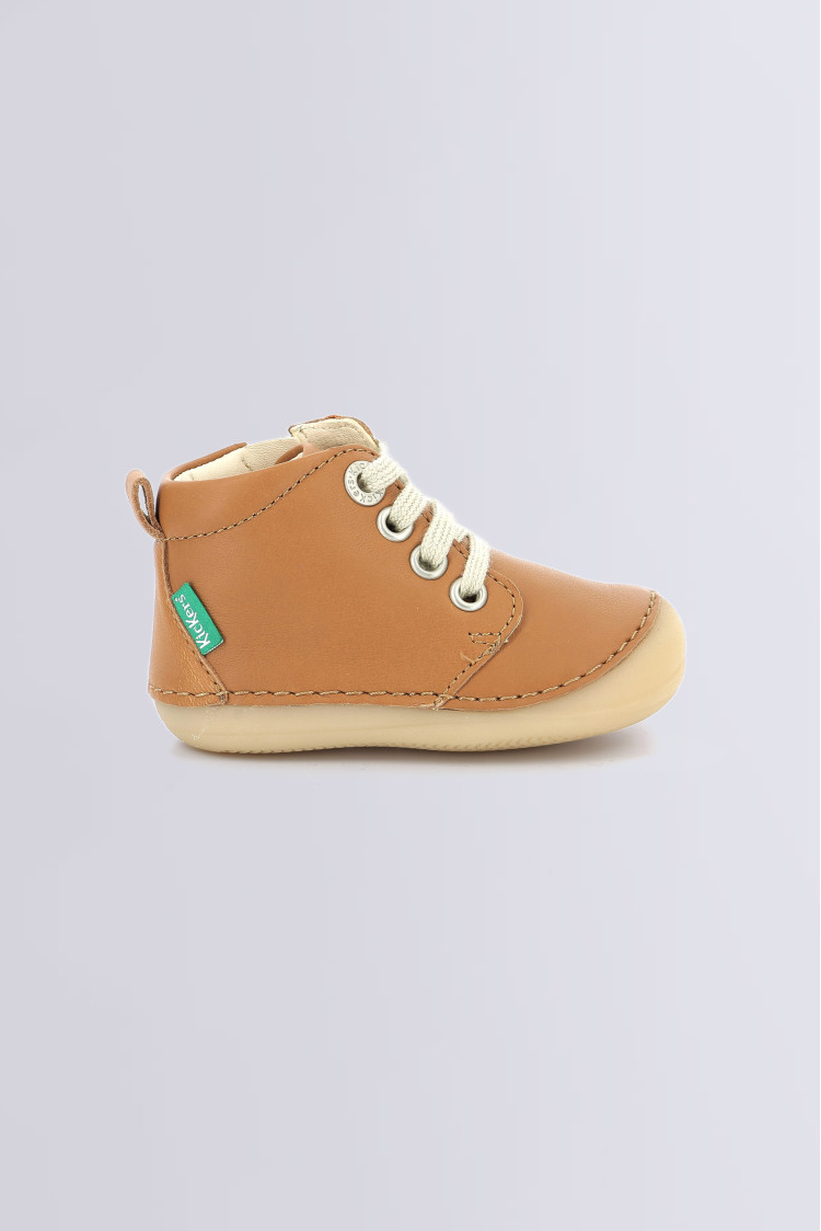 Sonizip Camel Sonizip Camel