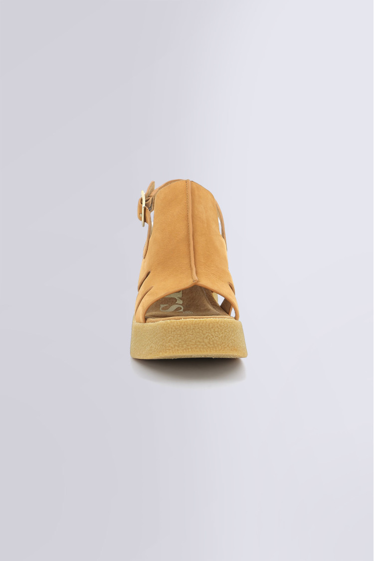 Kick charlie Camel Kick charlie Camel