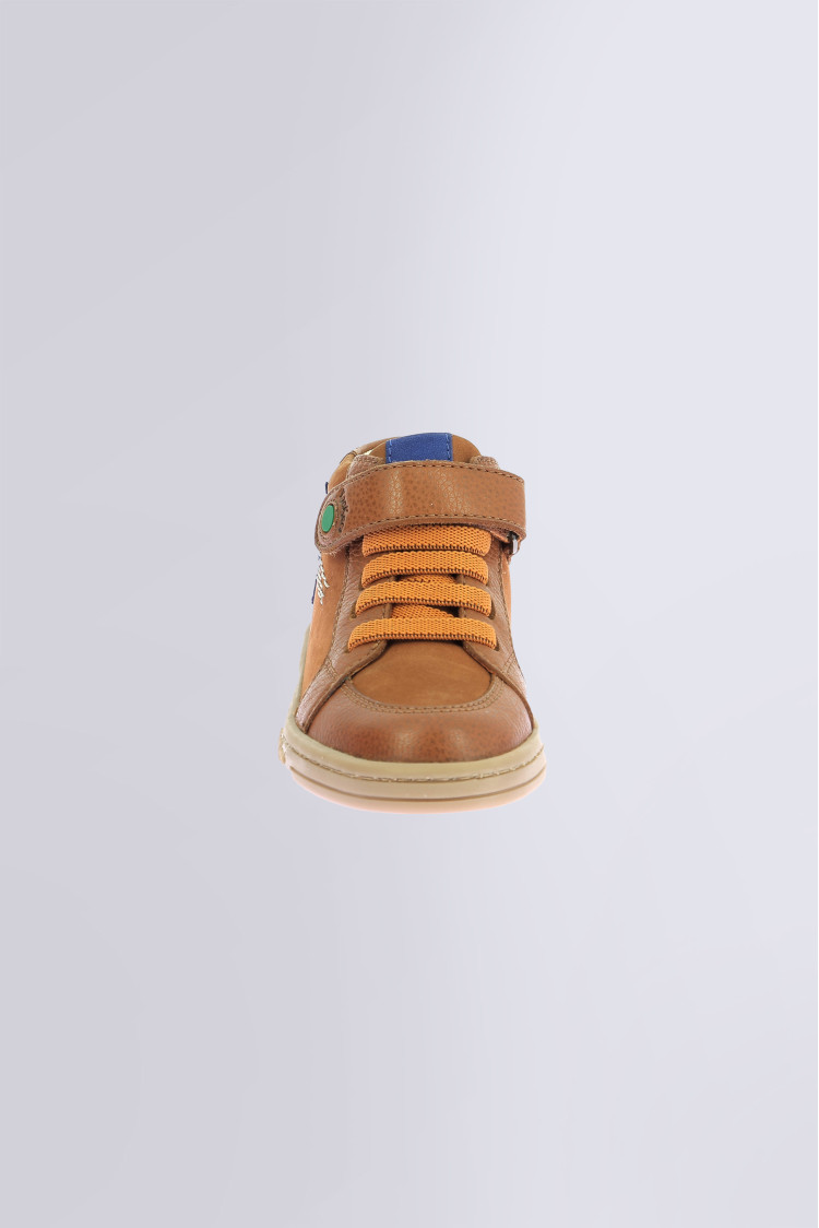Tackstari Camel Tackstari Camel