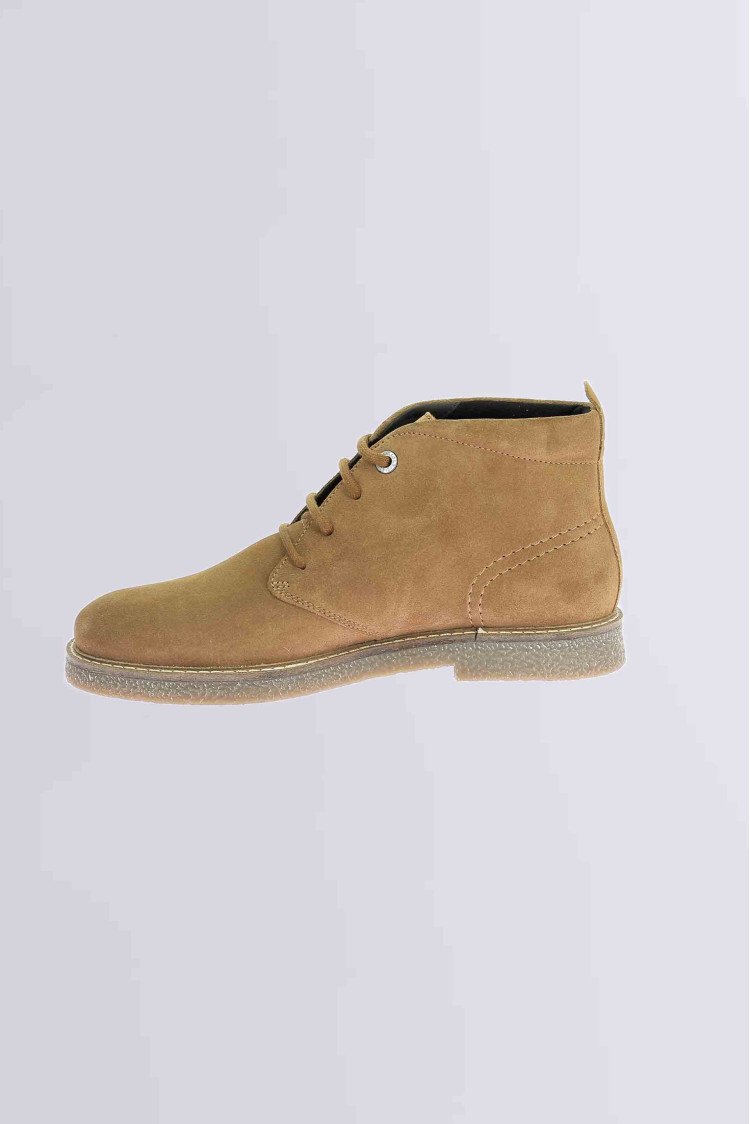 Kick Leo Camel Kick Leo Camel