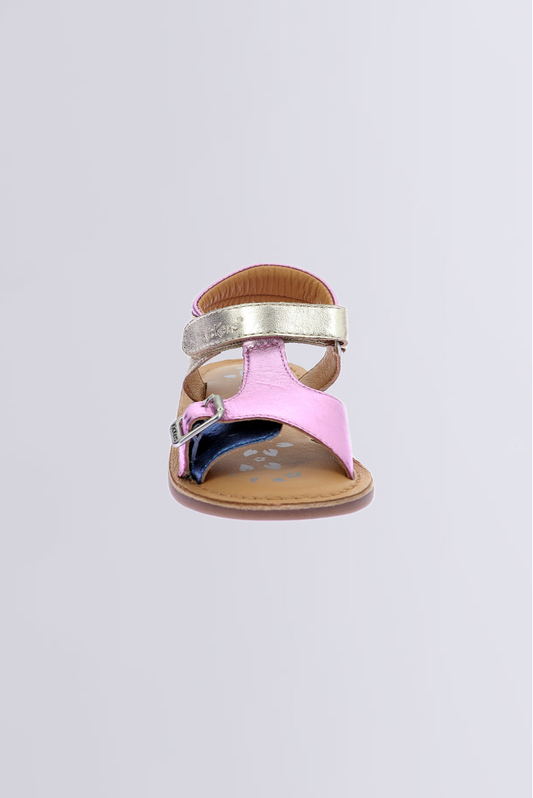 Diazz Marine Rose (24-34) Diazz Marine Rose (24-34)