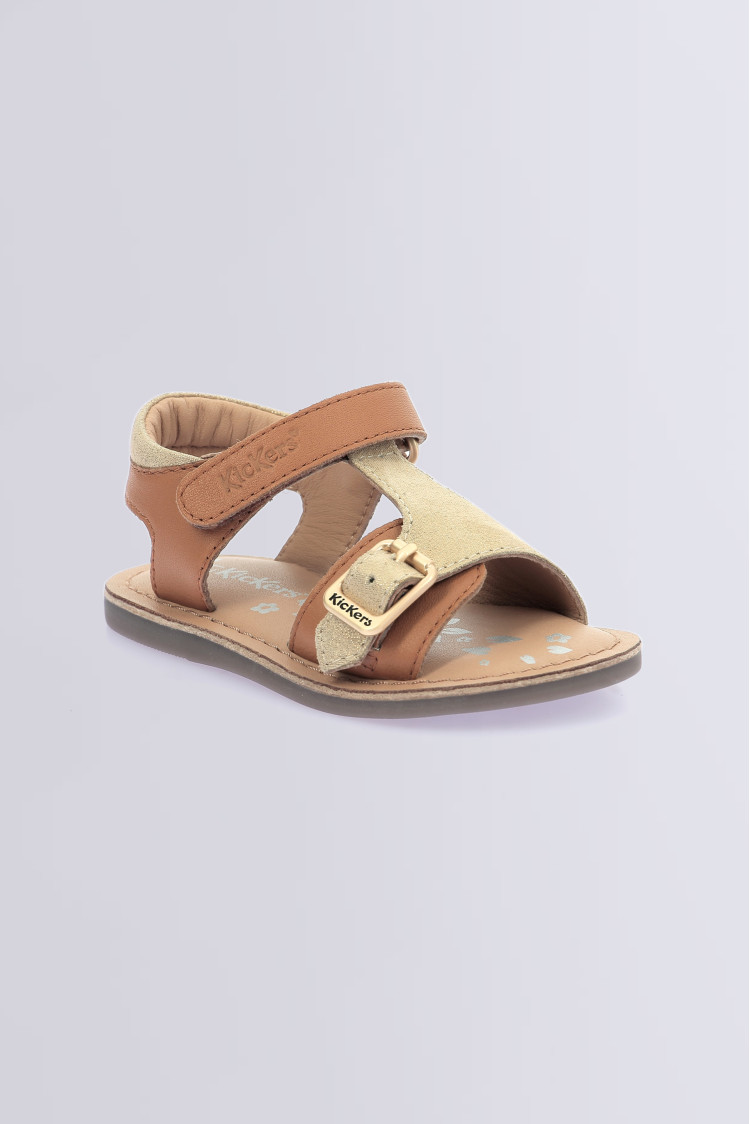 Diazz Camel or Diazz Camel or