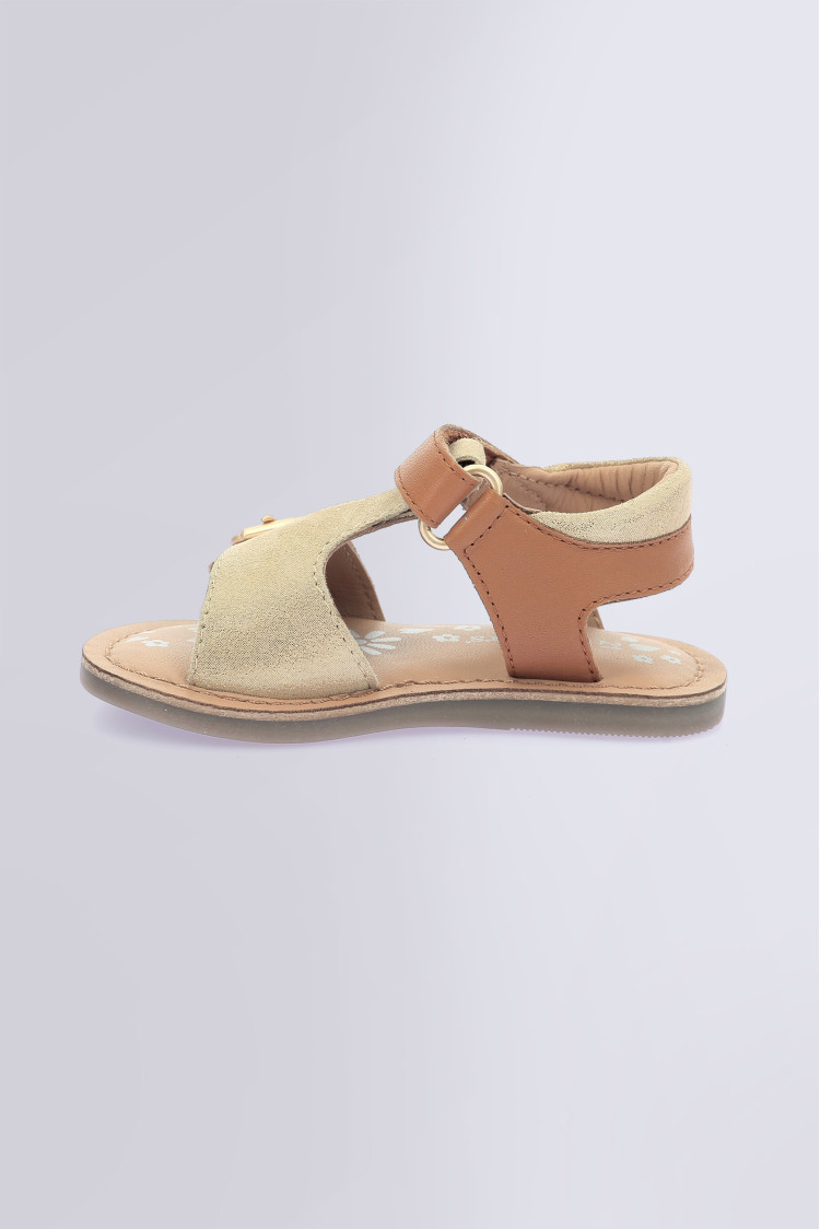Diazz Camel or Diazz Camel or