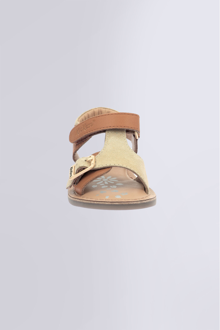 Diazz Camel or Diazz Camel or
