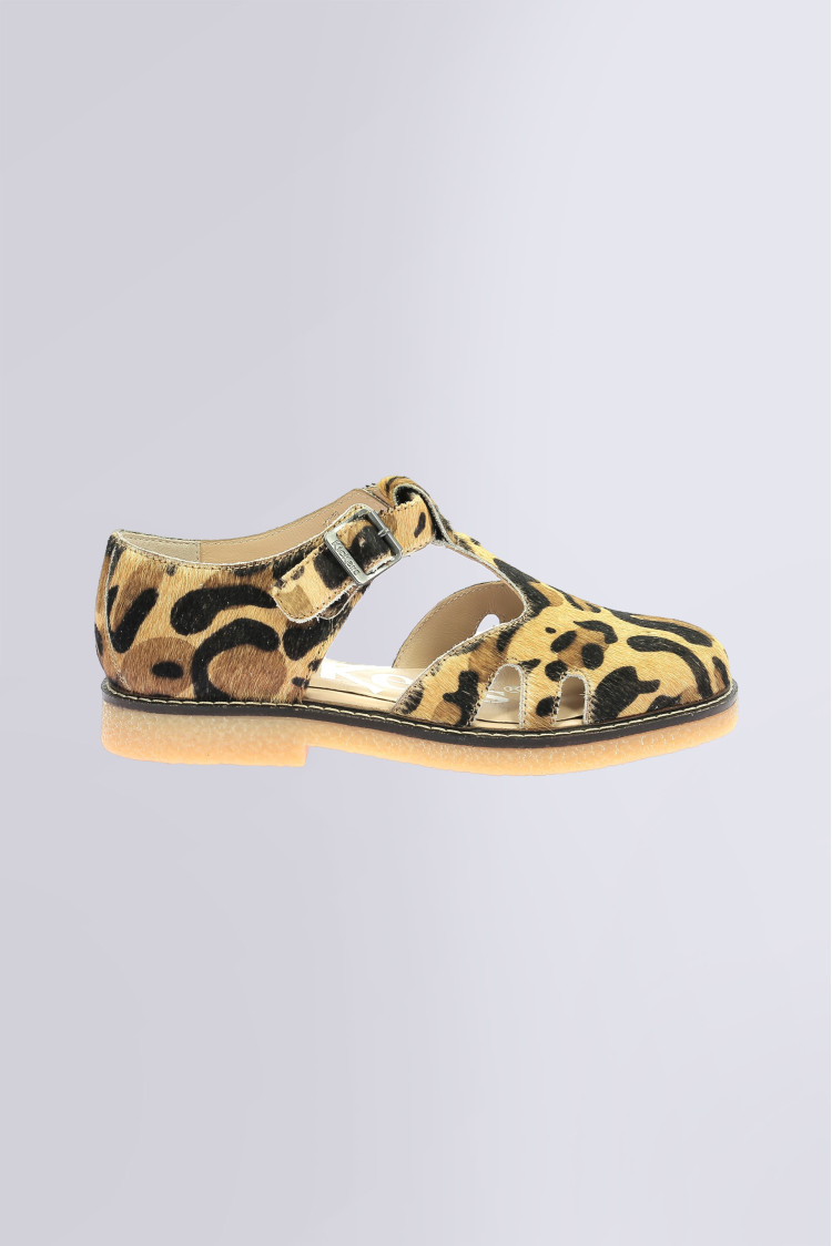 Kick leryne Camel leopard Kick leryne Camel leopard