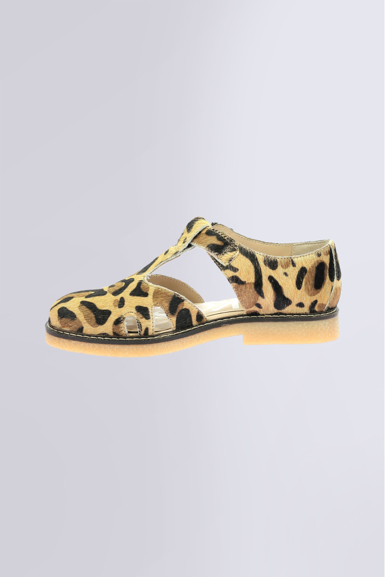 Kick leryne Camel leopard Kick leryne Camel leopard