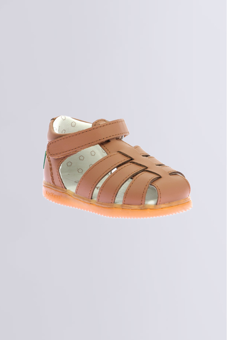 Kick flo Camel Kick flo Camel