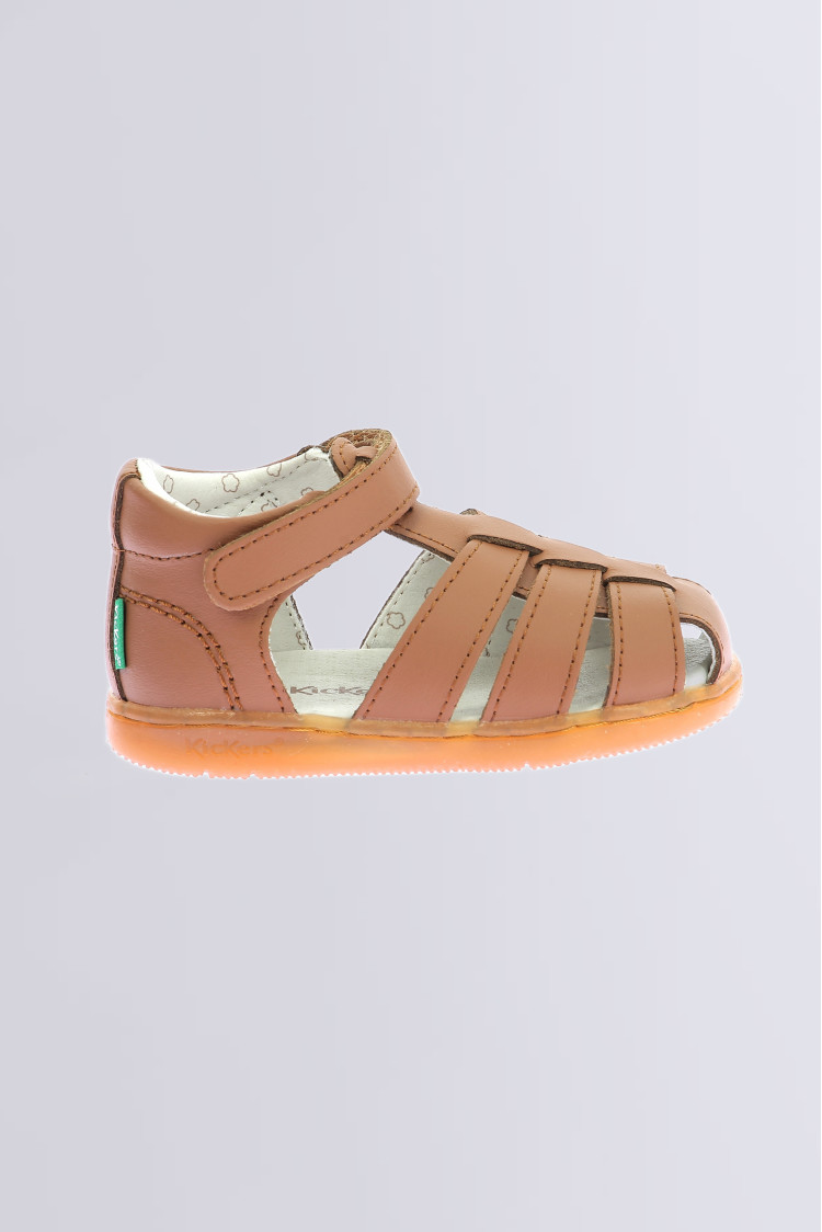 Kick flo Camel Kick flo Camel