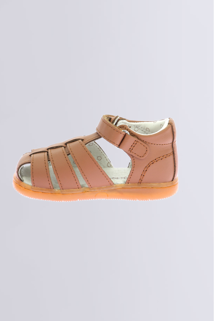 Kick flo Camel Kick flo Camel
