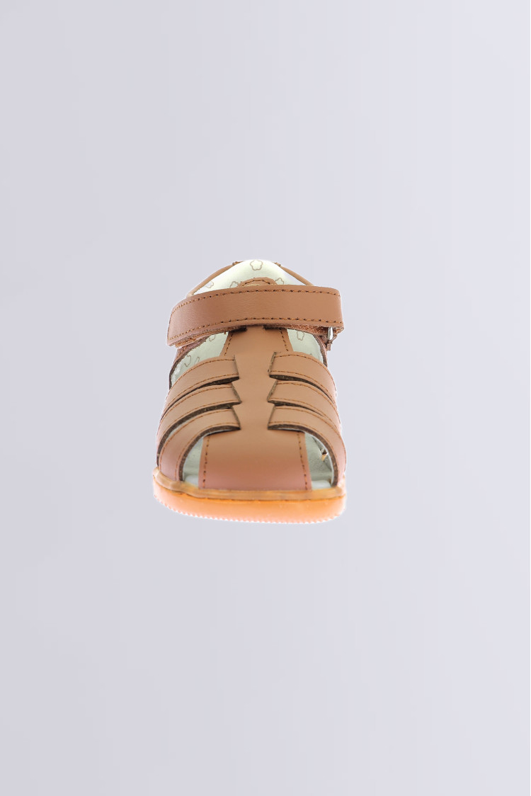 Kick flo Camel Kick flo Camel